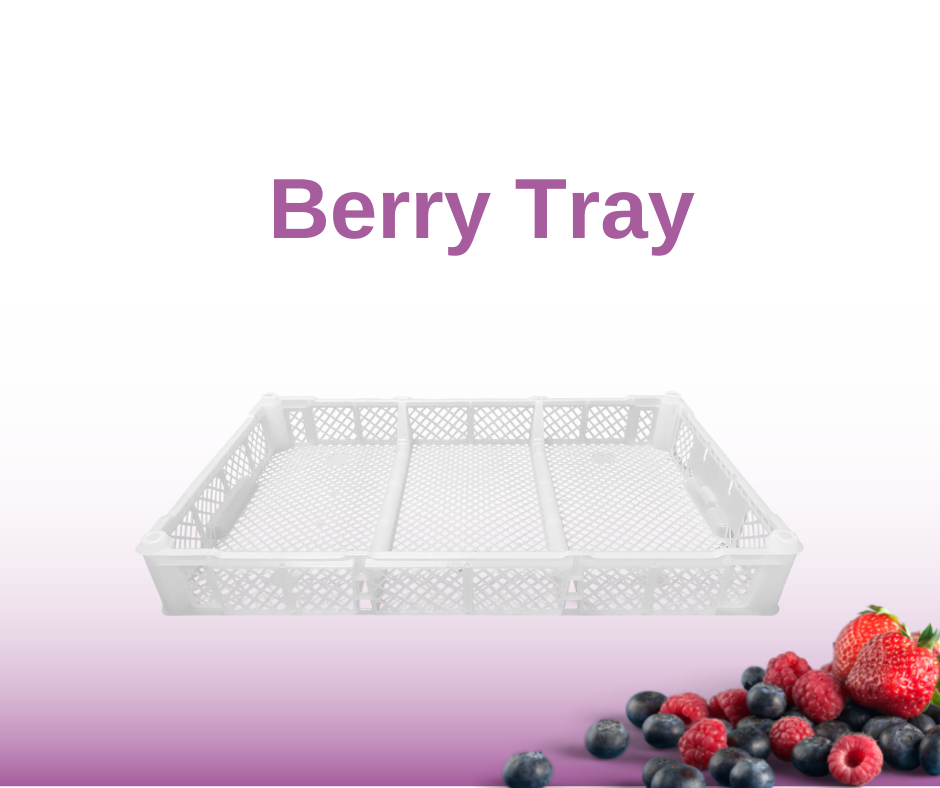 Mpact Berry Tray: Lightweight, Durable & Freshness-Preserving – Mpact ...