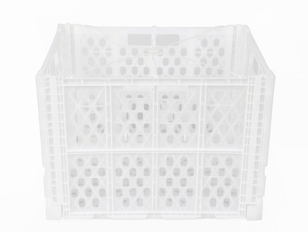 【PHARFAITE】 SGSキャットラクス ブラックM Citrus Crate (R15P) – Mpact Plastic Containers Castleview Pty Ltd